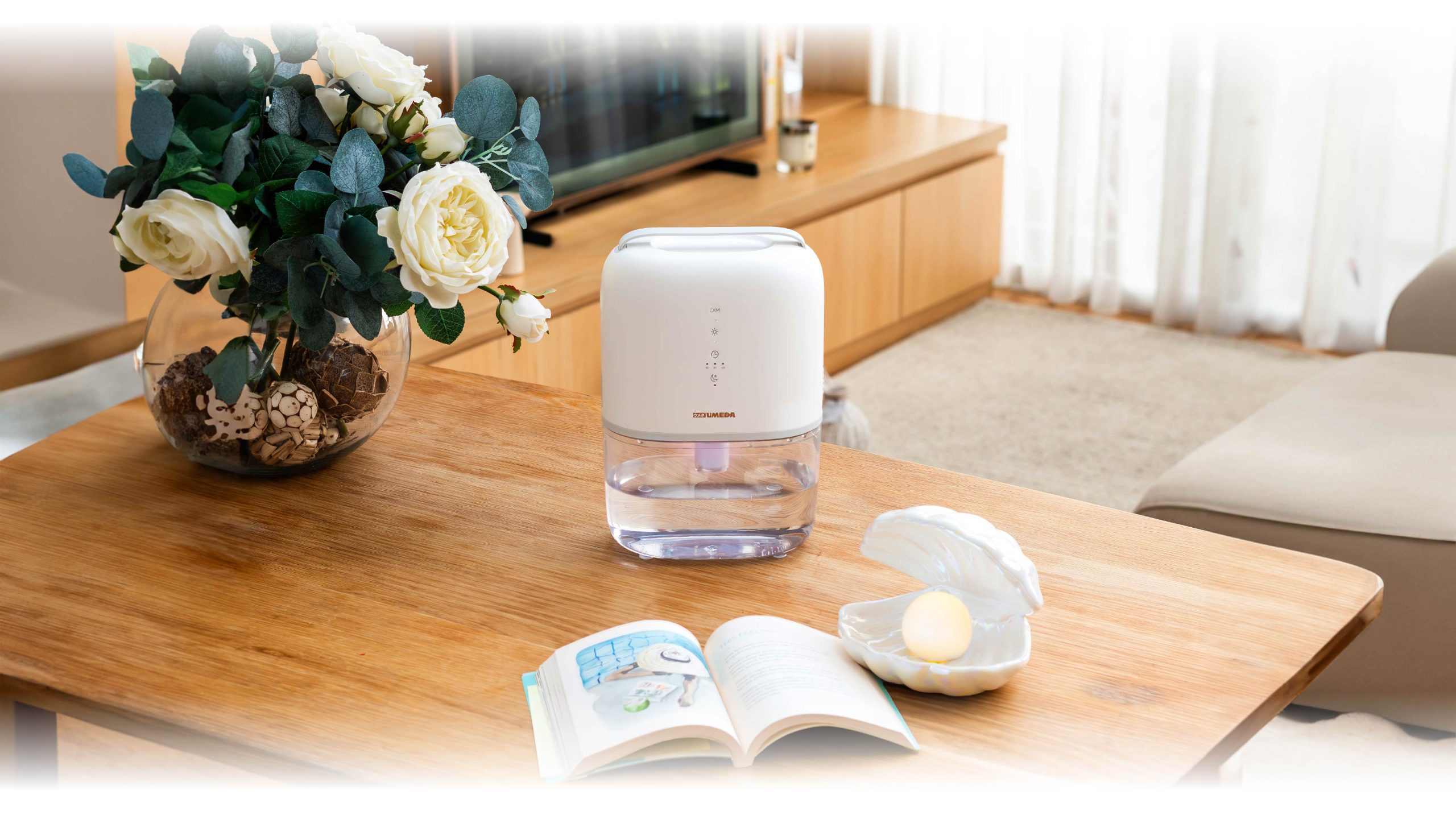 DEHUMIDIFIER